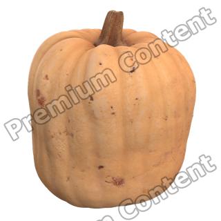 Pumpkin 3D Scan Retopo #15